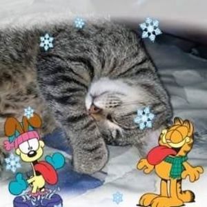 Meet your Posher, Christye